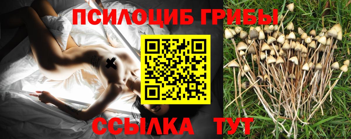 Псилоцибиновые грибы мухоморы Тихорецк