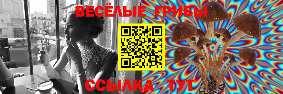 Псилоцибиновые грибы ЛСД  Вход с VPN  Тихорецк 